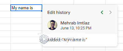 the edit history data in google sheets